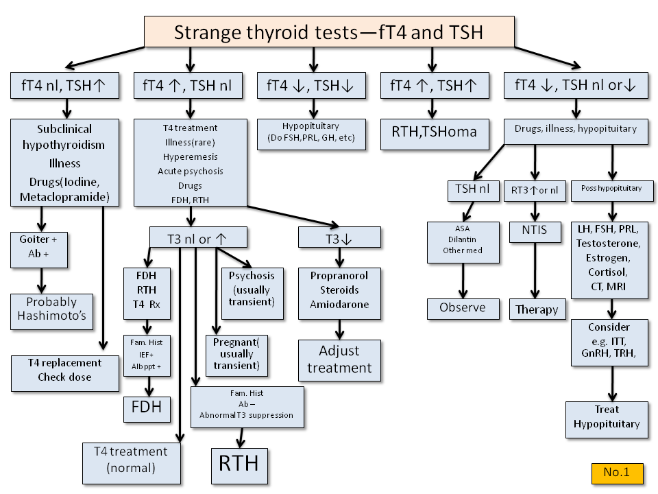 Strange Thyroid Function Tests - Thyroid Disease Manager Algorithms