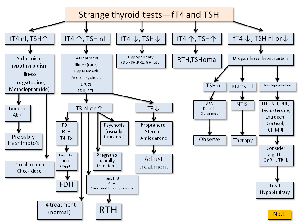 Thyroid Readings Chart