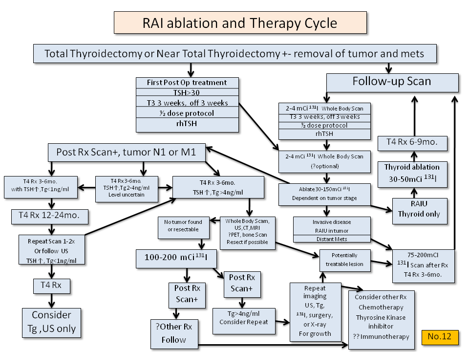 RAI Ablation and Therapy for Thyroid Cancer - Thyroid Disease Manager Algorithms