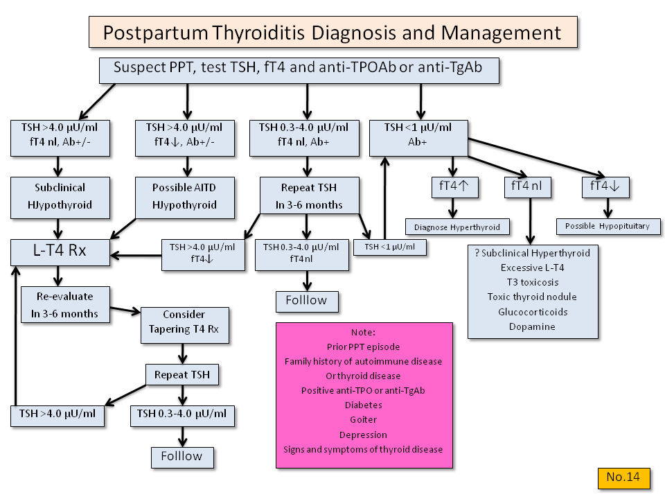 Postpartum Thyroiditis Diagnosis and Management - Thyroid Disease Manager Algorithms