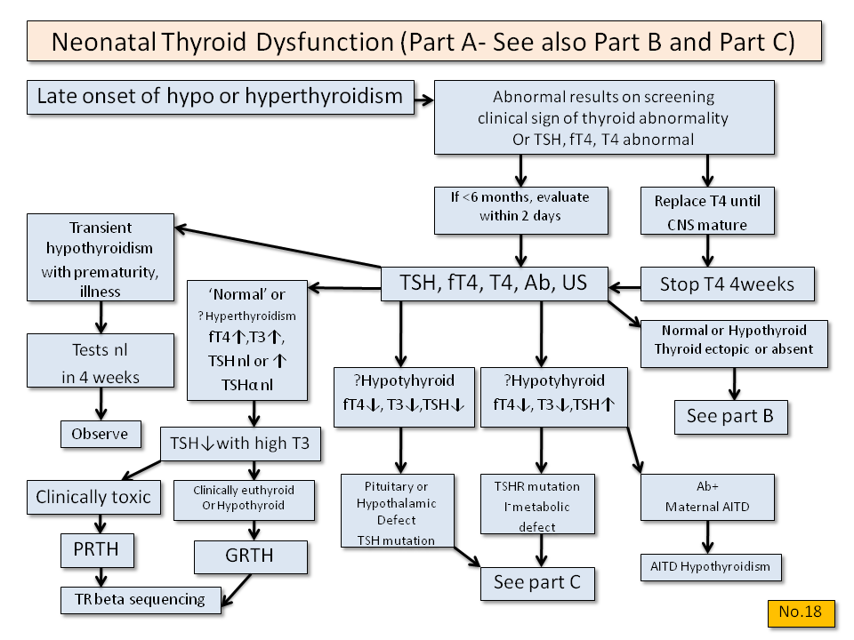 Neonatal Thyroid Dysfunction (Part A) - Thyroid Disease Manager Algorithms