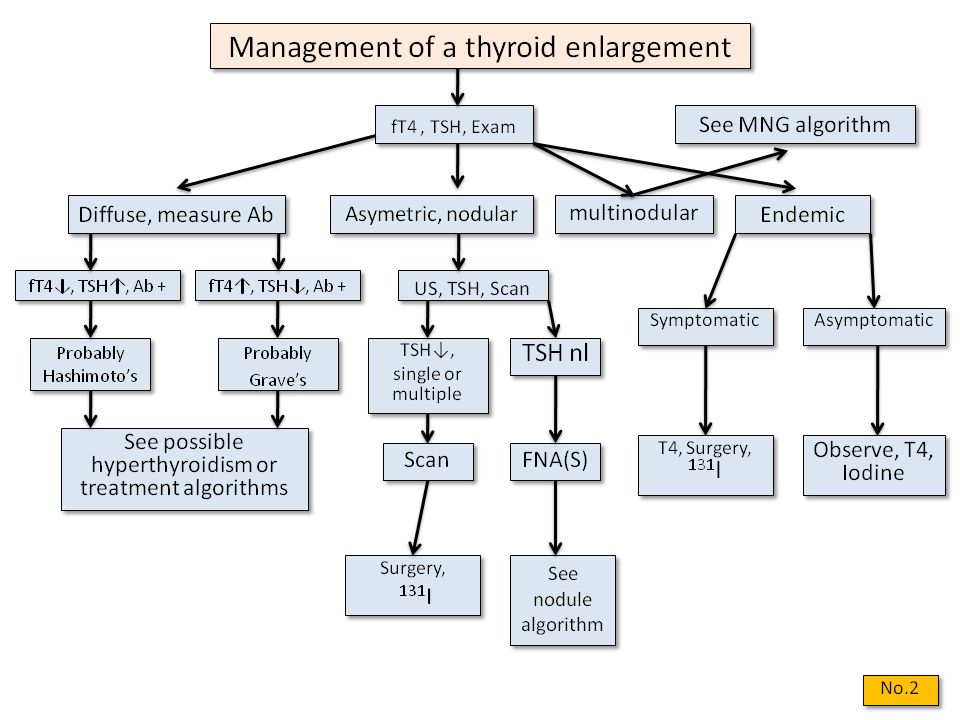 Management of thyroid enlargement - Thyroid Disease Manager Algorithms