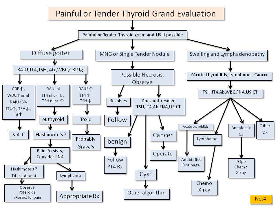 Painful or Tender Thyroid Gland Evaluation - Thyroid Disease Manager Algorithms