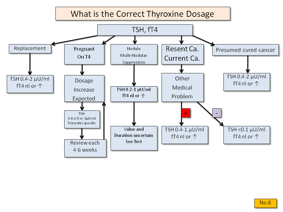 What is the Correct Thyroxine Dosage? - Thyroid Disease Manager Algorithms