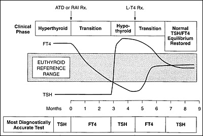 How do you interpret a thyroid test?