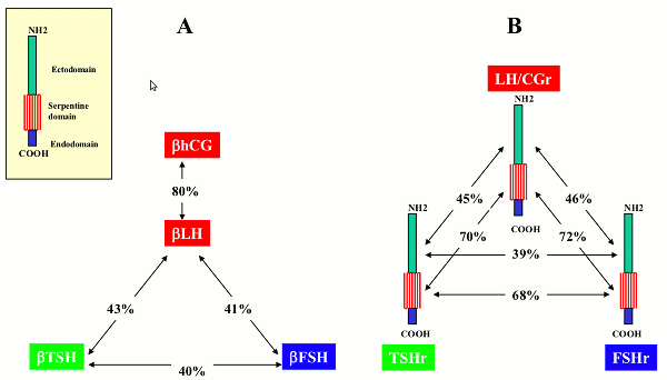 figure11