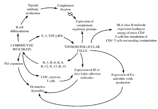 Altitude illness: risk factors, prevention, presentation 