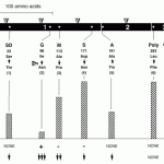 figure1