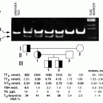 figure4