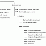 figure1