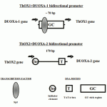 figure16
