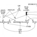 figure18