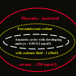 figure14