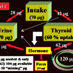 figure4