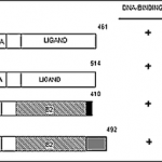 fig2
