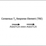 fig4