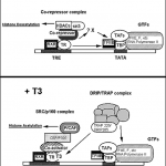 fig6