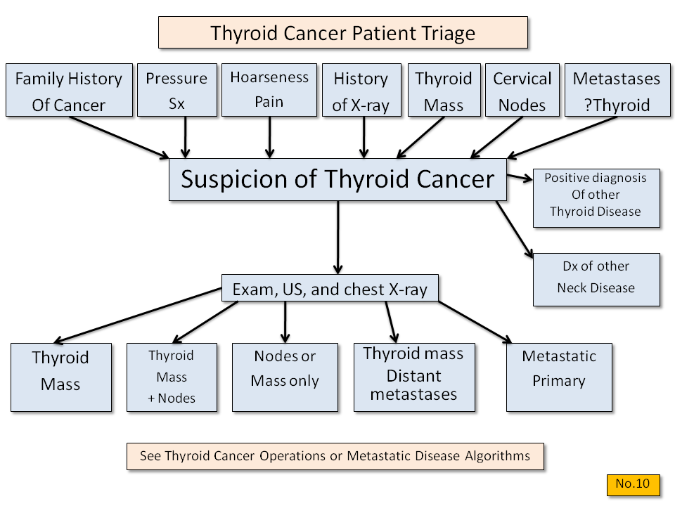 Possible Thyroid Cancer - Initial Decisions - Thyroid Disease Manager Algorithms