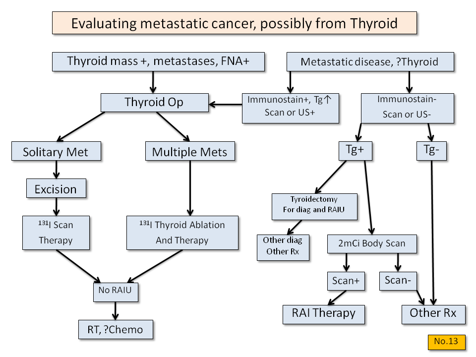 Evaluating Metastatic Cancer - Thyroid Disease Manager Algorithms