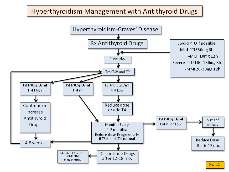 Hyperthyroidism Management with Antithyroid Drugs - Thyroid Disease Manager Algorithms