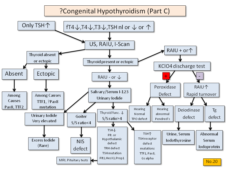 Congenital Hypothroidism (Part C) - Thyroid Disease Manager Algorithms