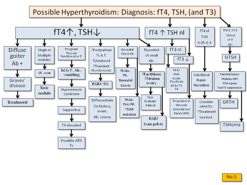 Possible Hyperthyroidism: Diagnosis