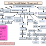 Single Thyroid Nodule Management – Thyroid Disease Manager Algorithms