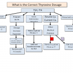 What is the Correct Thyroxine Dosage? – Thyroid Disease Manager Algorithms