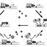 Slide4