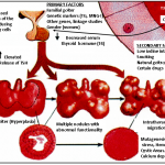 fig3