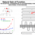 figure23b