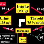 figure2a