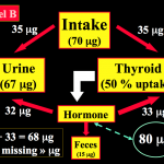 figure2b