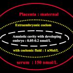 figure7