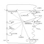 figure10