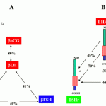 figure11