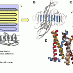 figure12