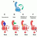 figure14