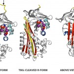 figure2a