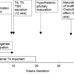 tdm-ch15-fig1
