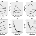 tdm-ch15-fig2
