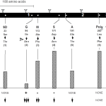 Figure16c1