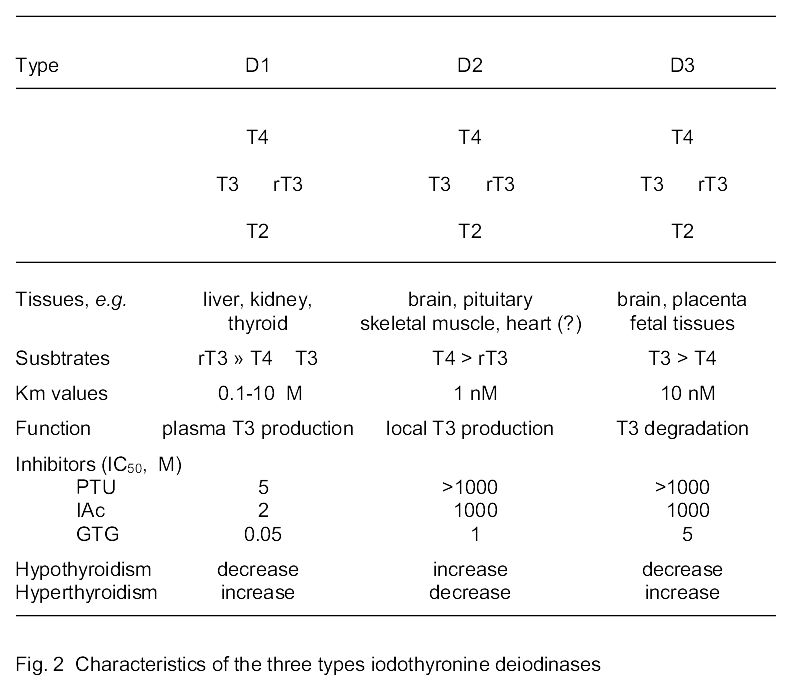 Fig. 2 Characteristics of the three types iodothyronine deiodinases