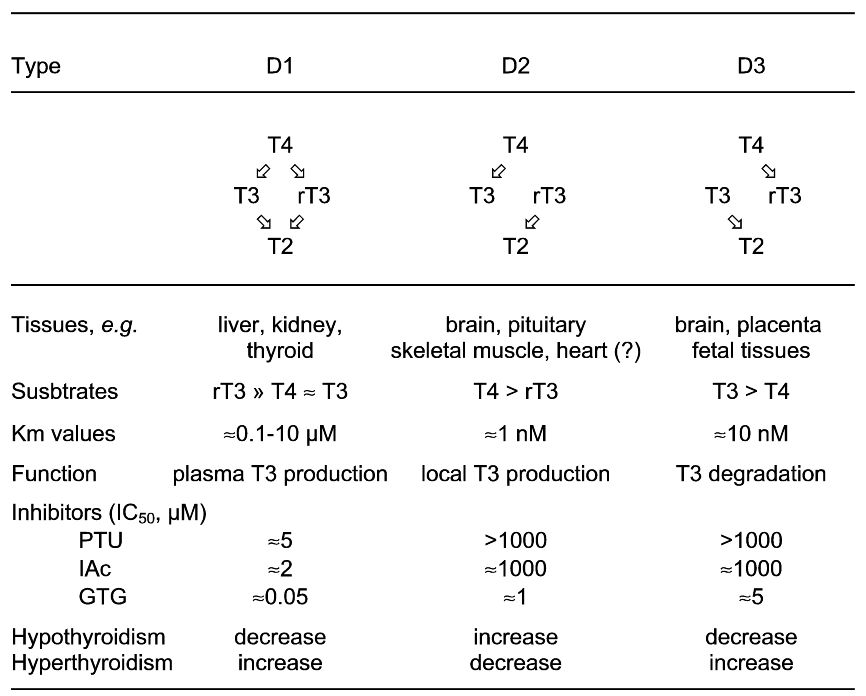 Fig. 2 Characteristics of the three types iodothyronine deiodinases