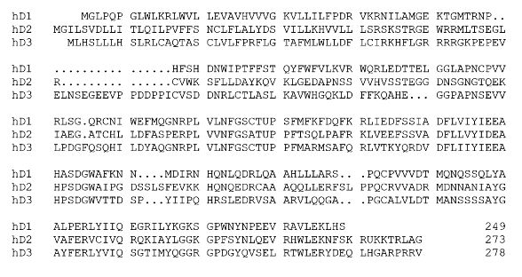 Fig. 3 Alignment of the amino acid sequences of human D1, D2, and D3 U=selenocysteine (Sec)