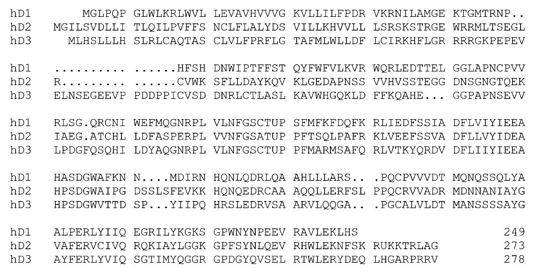 Fig. 3 Alignment of the amino acid sequences of human D1, D2, and D3 U=selenocysteine (Sec)