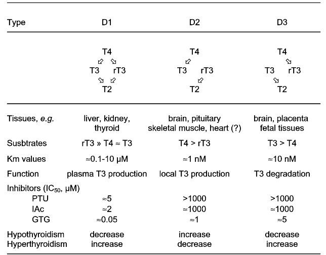 Fig. 2 Characteristics of the three types iodothyronine deiodinases