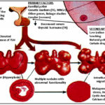 etx-lipidped-ch17-fig3