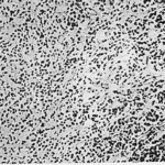 image1-chap20