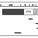 TDM-ch3d-fig001